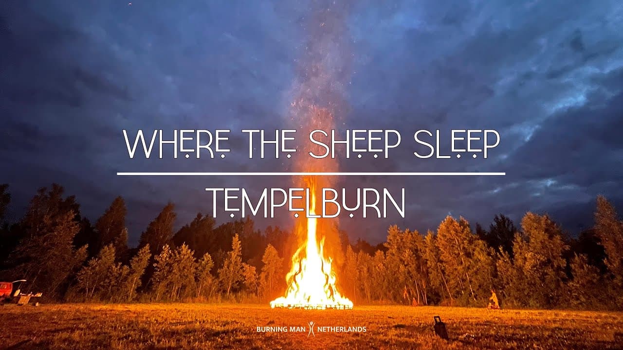 Where the Sheep Sleep 2026 festival